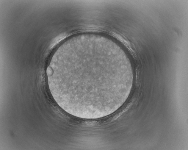 X0000115021453200912071017