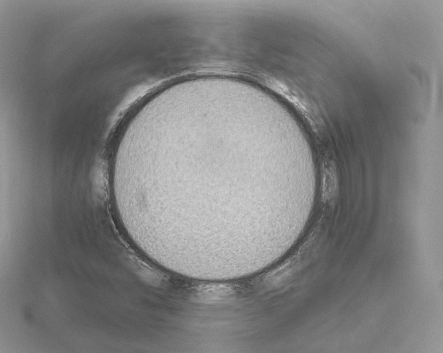 X0000115021454200912071017