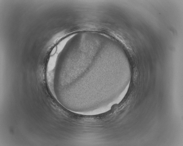 X0000115021455200912071017