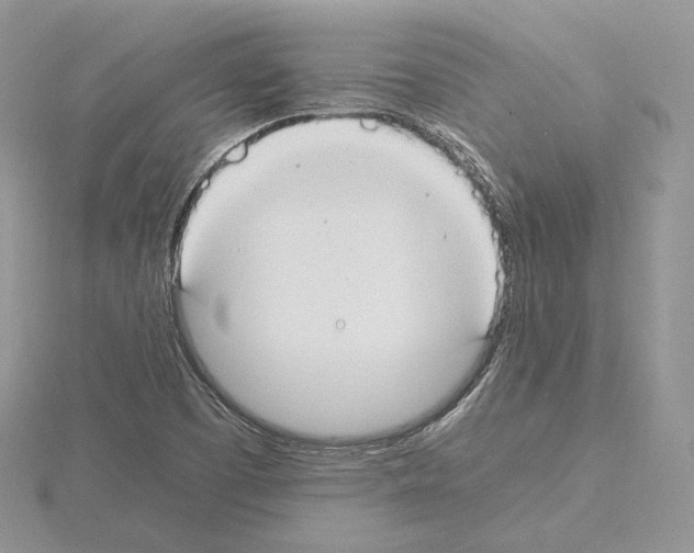 X0000115021457200912071017