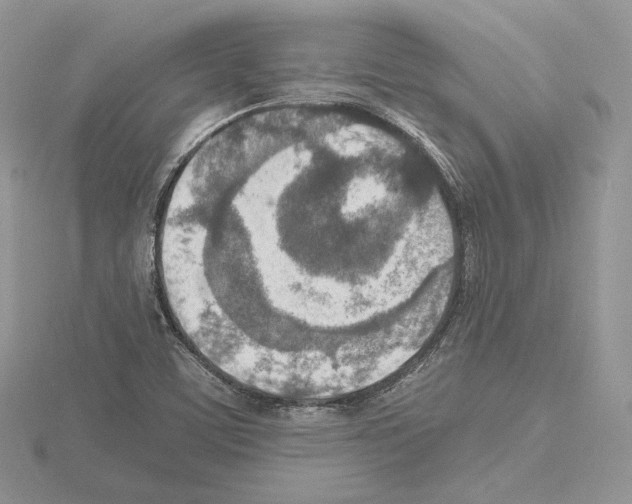 X0000115021459200912071017