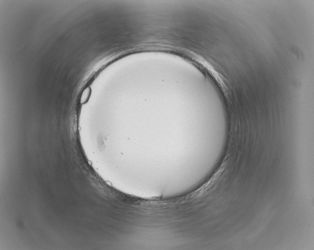 X0000115021461200912071017