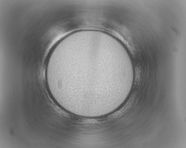 X0000115021462200912071017