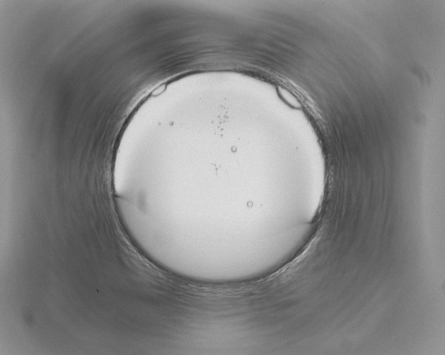 X0000115021465200912071017