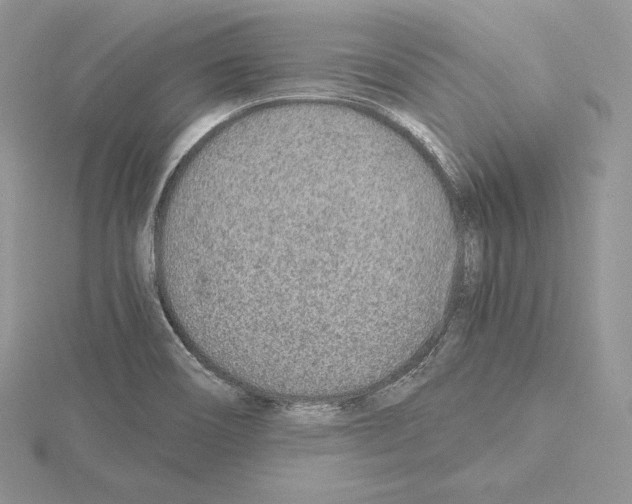 X0000115021466200912071017