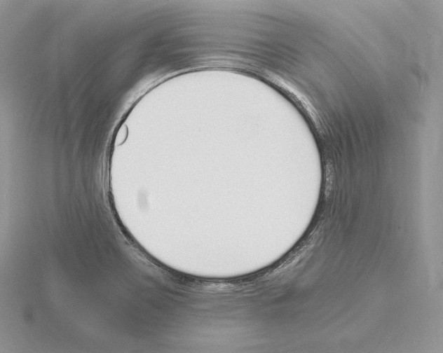 X0000115021467200912071017