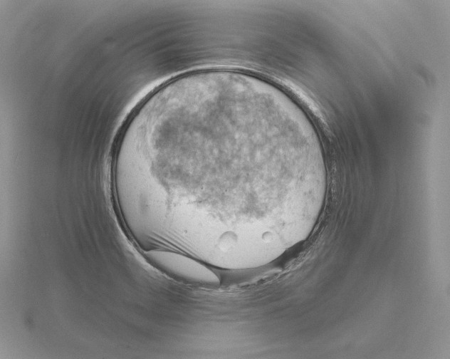 X0000115021468200912071017