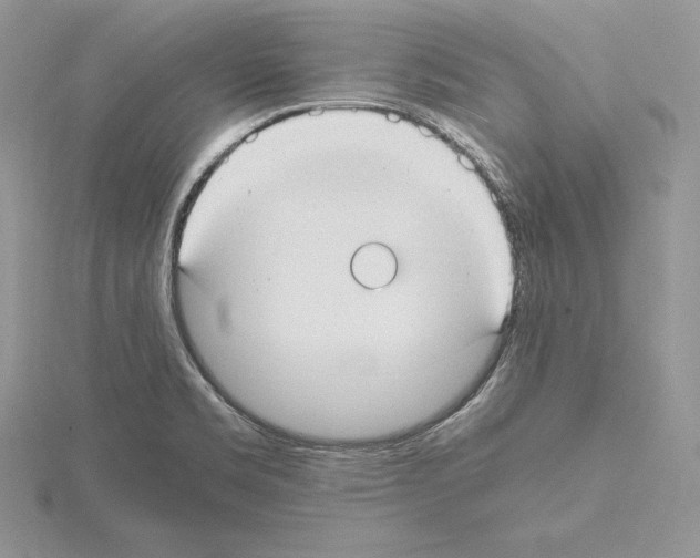 X0000115021469200912071017