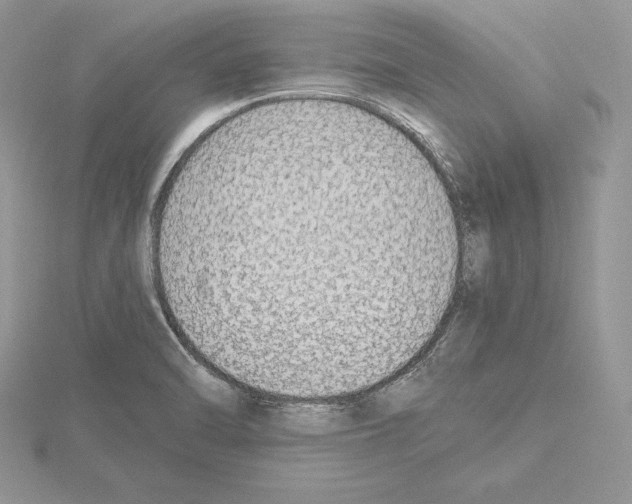 X0000115021470200912071017