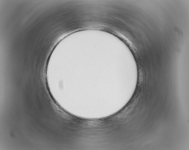 X0000115021471200912071017