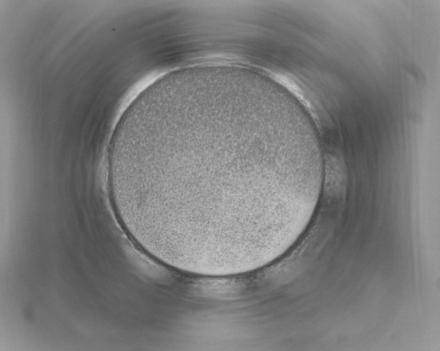 X0000115021474200912071017