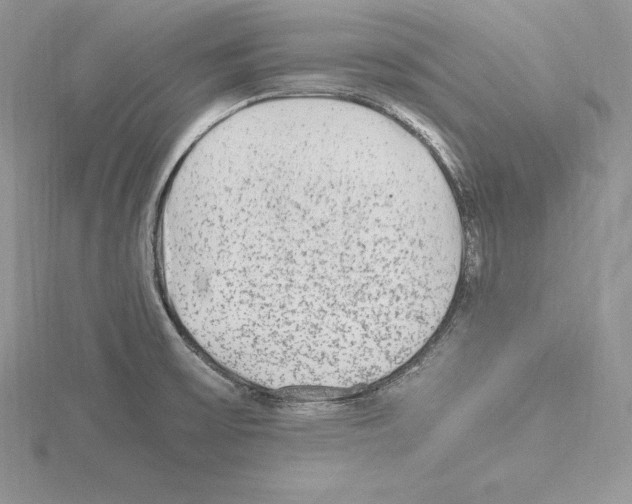 X0000115021475200912071017