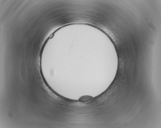 X0000115021476200912071017