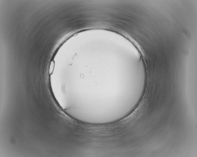 X0000115021477200912071017