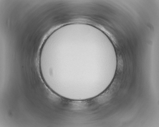 X0000115021478200912071017