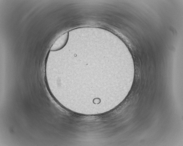 X0000115021479200912071017