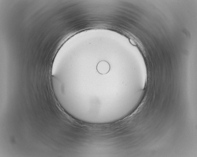 X0000115021481200912071017