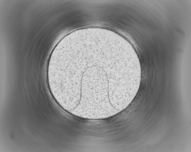 X0000115021483200912071017