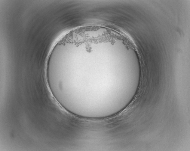 X0000115021488200912071017