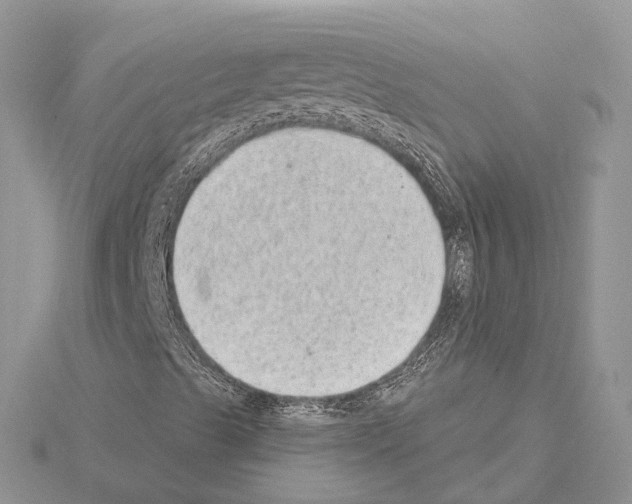 X0000115021489200912071016