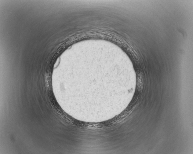 X0000115021490200912071016