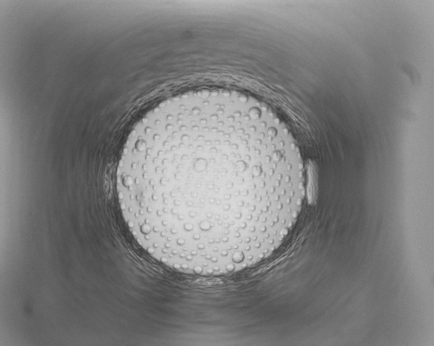 X0000115021491200912071016