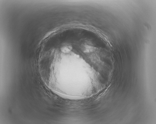 X0000115021494200912071016