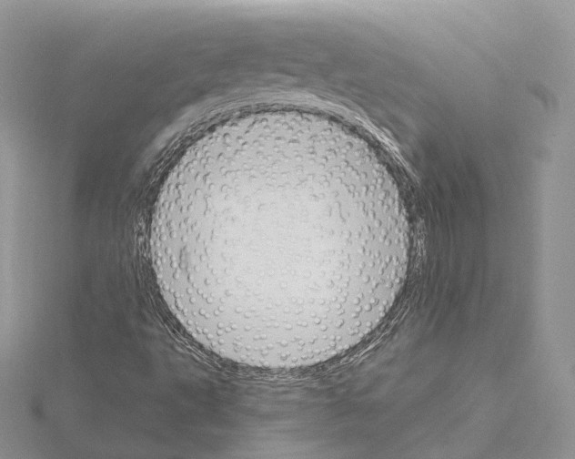 X0000115021495200912071016