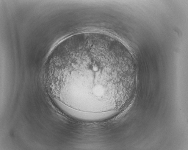 X0000115021501200912071016