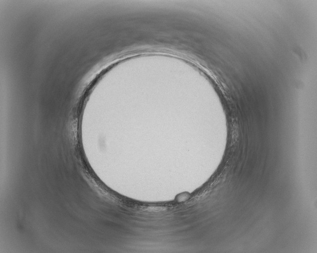 X0000115021503200912071016