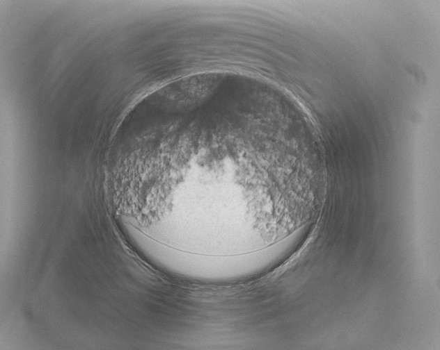 X0000115021505200912071016