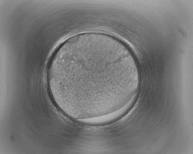 X0000115021506200912071016