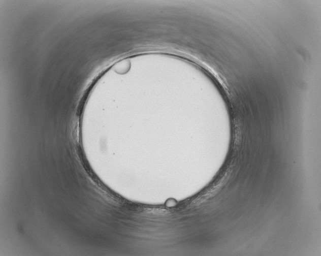 X0000115021509200912071016