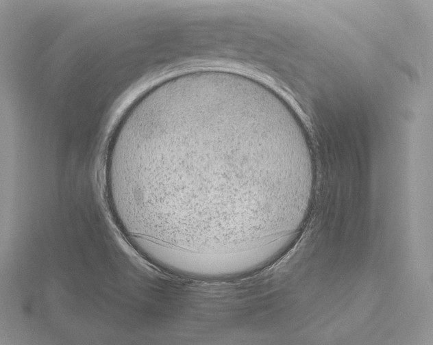 X0000115021511200912071016