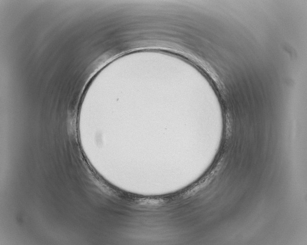 X0000115021513200912071016