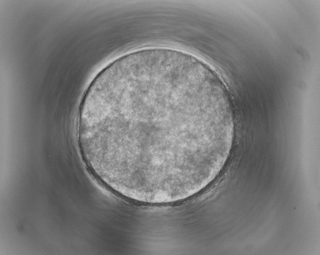 X0000115021519200912071016