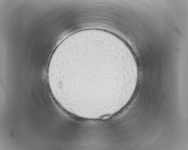 X0000115021521200912071016