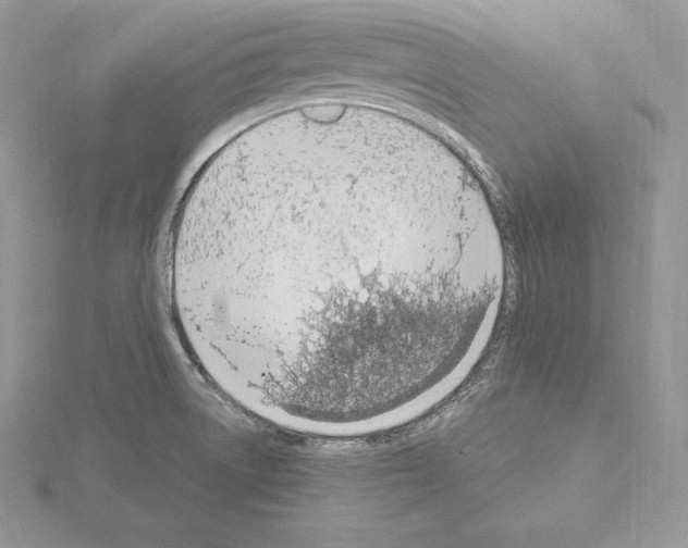 X0000115021522200912071016