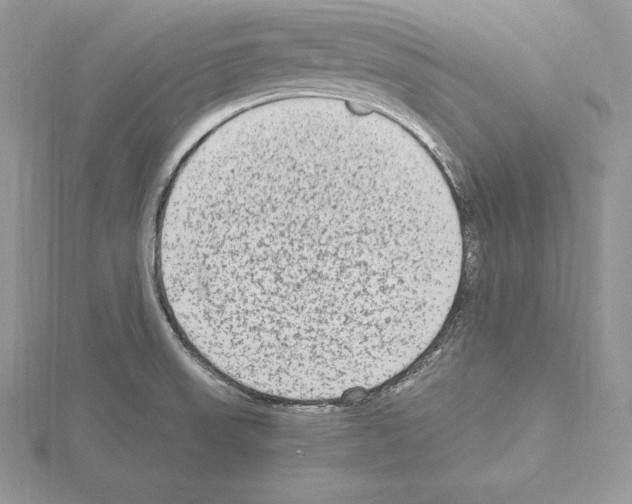 X0000115021523200912071016