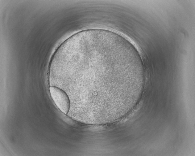 X0000115021525200912071016