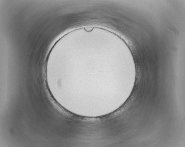 X0000115021526200912071016