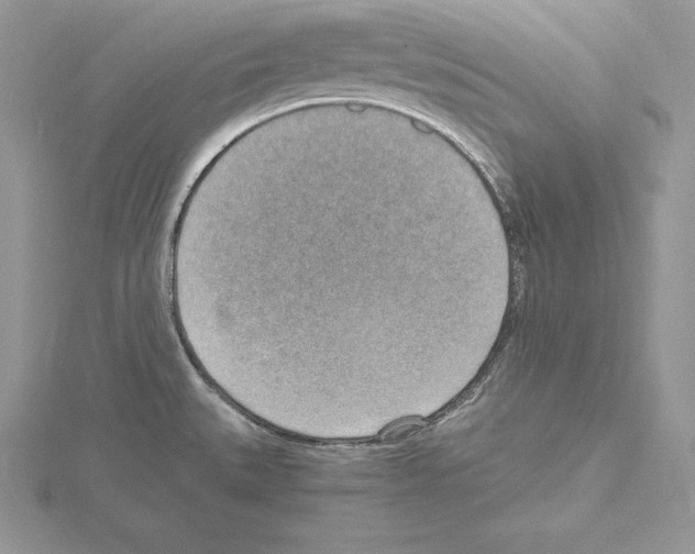 X0000115021527200912071016