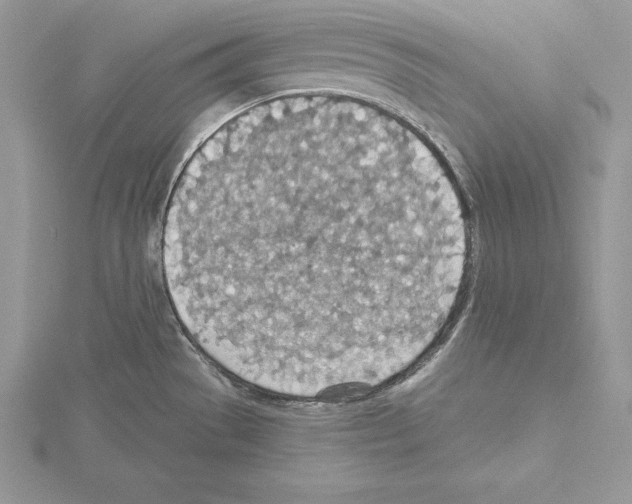 X0000115021529200912071016