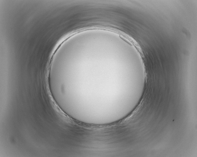 X0000115021530200912071016