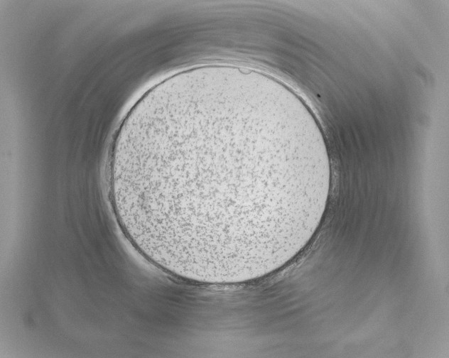 X0000115021531200912071017