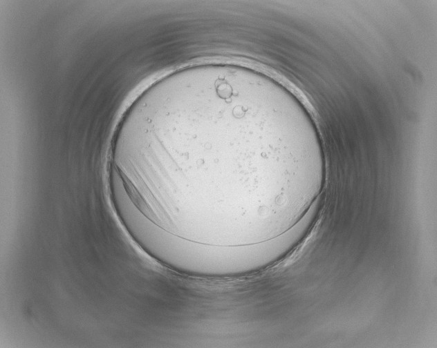 X0000115021533200912071017