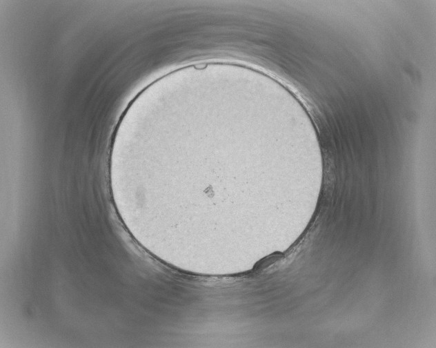 X0000115021534200912071017