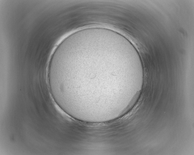 X0000115021535200912071017