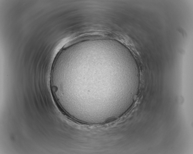 X0000115030003200911091353