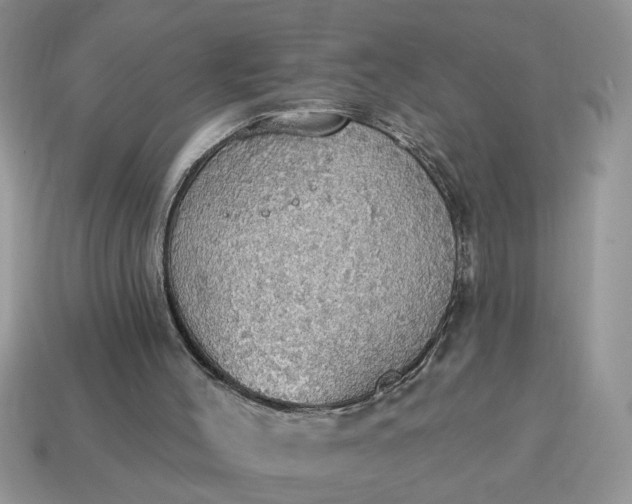 X0000115030004200911091353